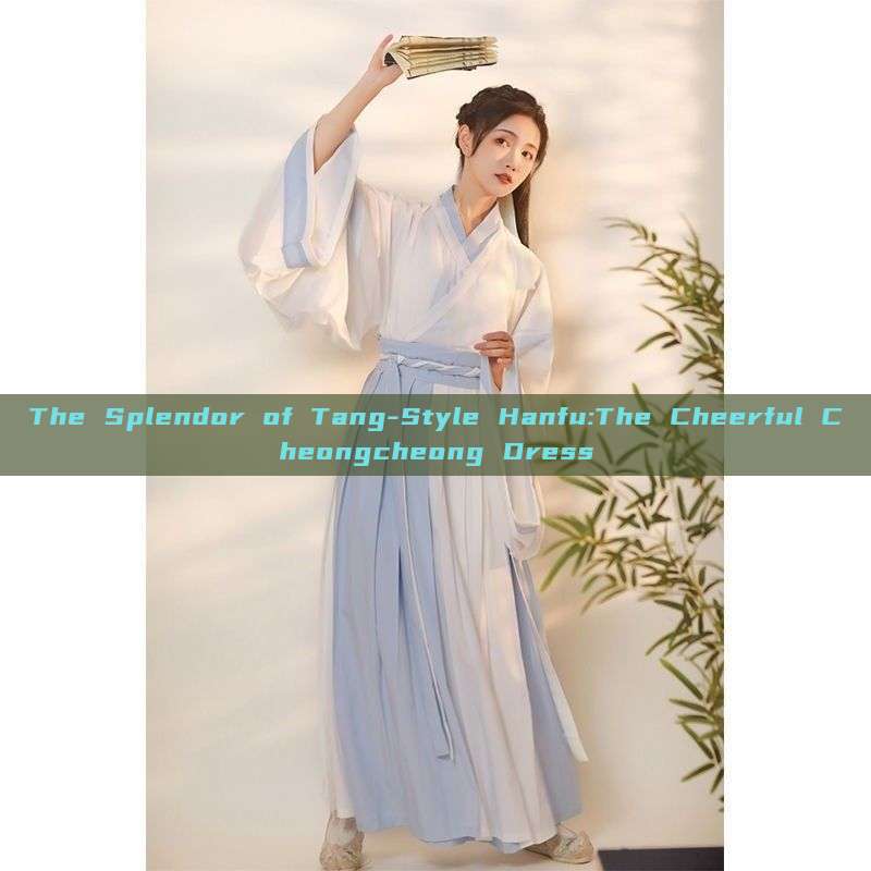 The Splendor of Tang-Style Hanfu:The Cheerful Cheongcheong Dress The Splendor of Tang-Style Hanfu:The Cheerful Cheongcheong Dress
