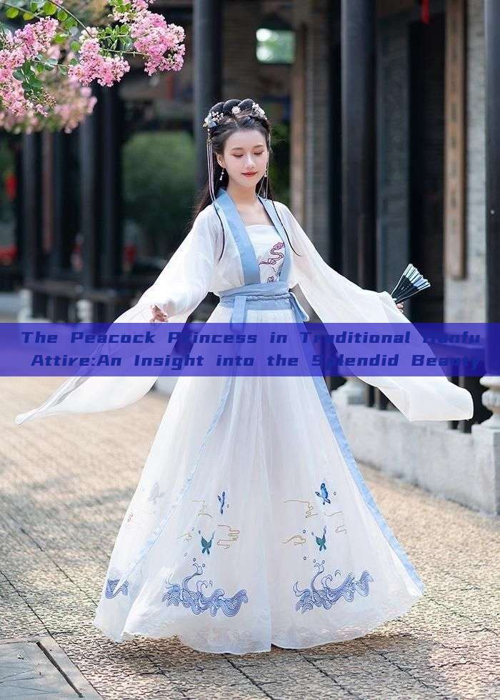 The Peacock Princess in Traditional Hanfu Attire:An Insight into the Splendid Beauty