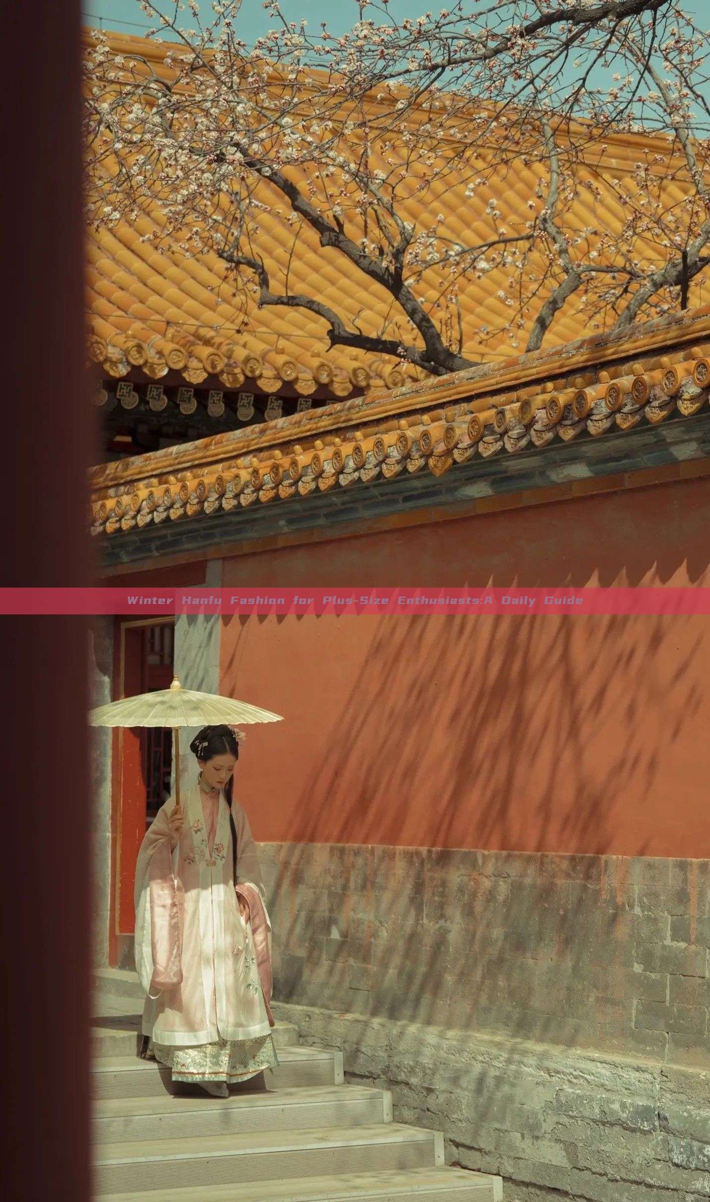 Winter Hanfu Fashion for Plus-Size Enthusiasts:A Daily Guide Winter Hanfu Fashion for Plus-Size Enthusiasts:A Daily Guide