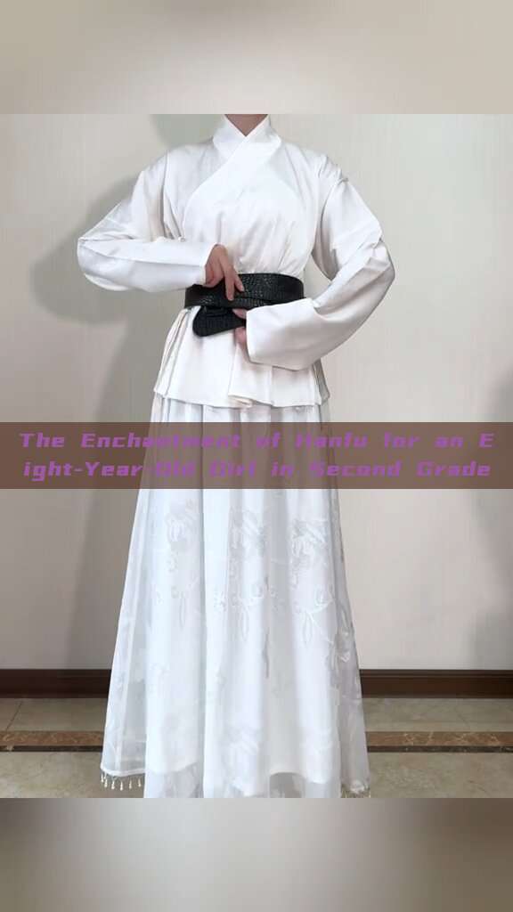 The Enchantment of Hanfu for an Eight-Year-Old Girl in Second Grade The Enchantment of Hanfu for an Eight-Year-Old Girl in Second Grade