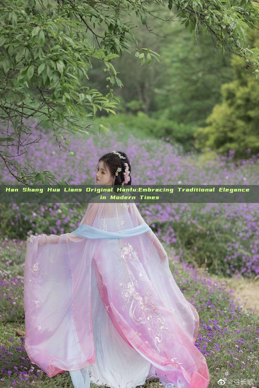 Han Shang Hua Lians Original Hanfu:Embracing Traditional Elegance in Modern Times Han Shang Hua Lians Original Hanfu:Embracing Traditional Elegance in Modern Times