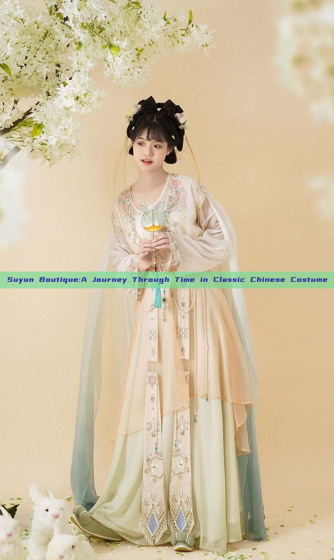 Suyun Boutique:A Journey Through Time in Classic Chinese Costume Suyun Boutique:A Journey Through Time in Classic Chinese Costume