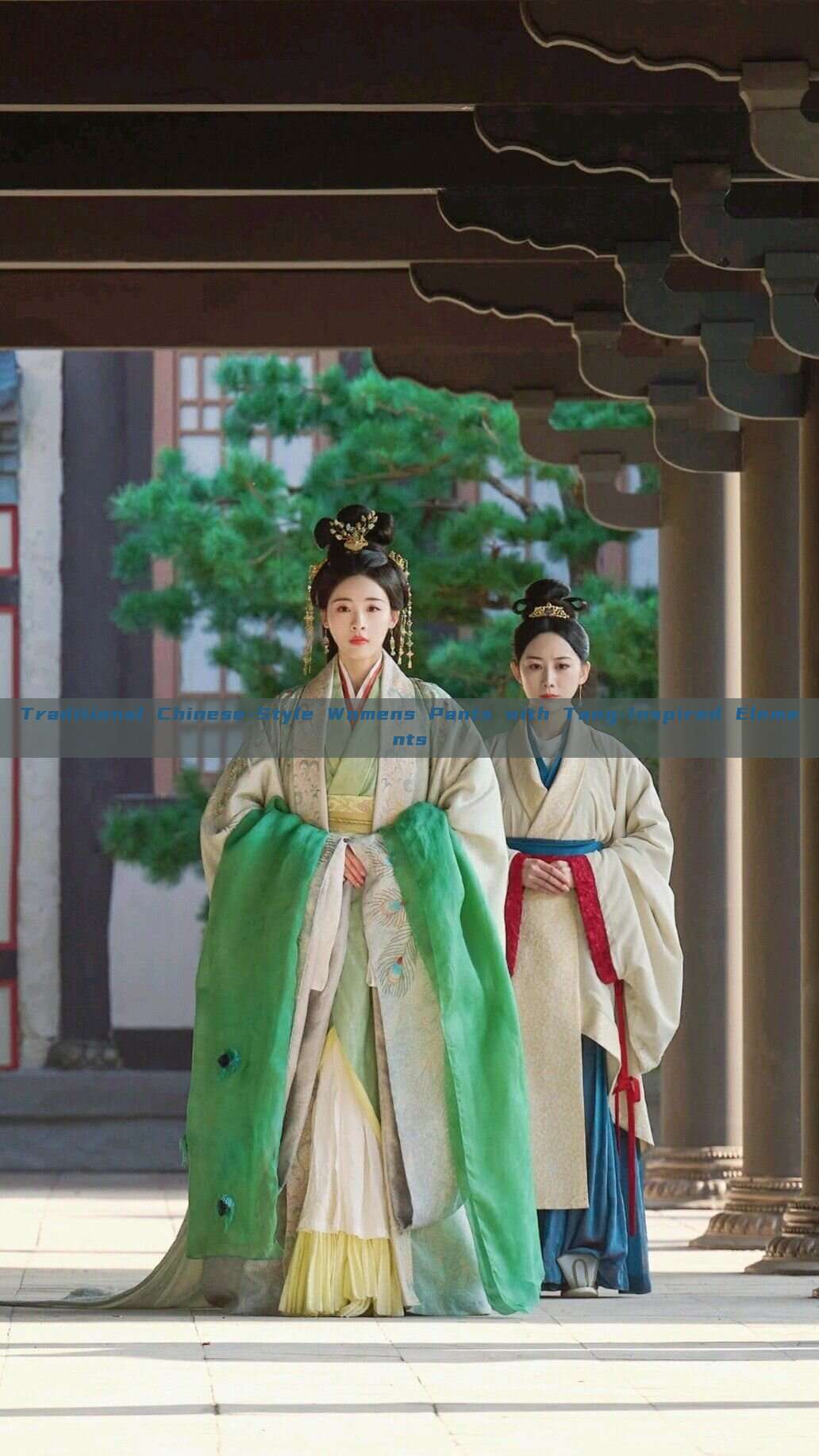 Traditional Chinese-Style Womens Pants with Tang-Inspired Elements Traditional Chinese-Style Womens Pants with Tang-Inspired Elements
