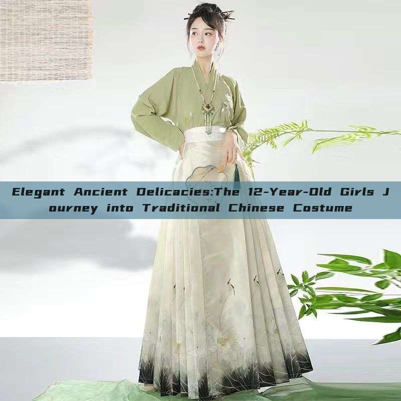 Elegant Ancient Delicacies:The 12-Year-Old Girls Journey into Traditional Chinese Costume Elegant Ancient Delicacies:The 12-Year-Old Girls Journey into Traditional Chinese Costume