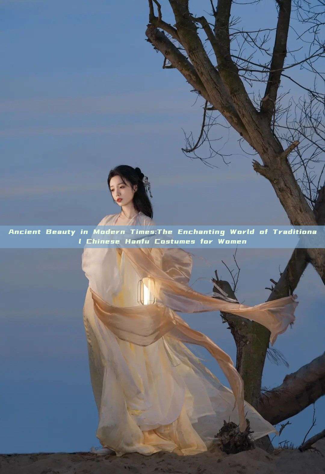 Ancient Beauty in Modern Times:The Enchanting World of Traditional Chinese Hanfu Costumes for Women Ancient Beauty in Modern Times:The Enchanting World of Traditional Chinese Hanfu Costumes for Women