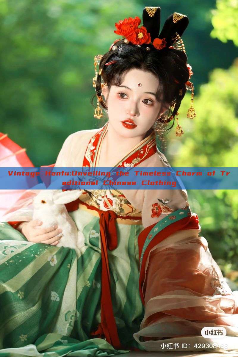 Vintage Hanfu:Unveiling the Timeless Charm of Traditional Chinese Clothing Vintage Hanfu:Unveiling the Timeless Charm of Traditional Chinese Clothing