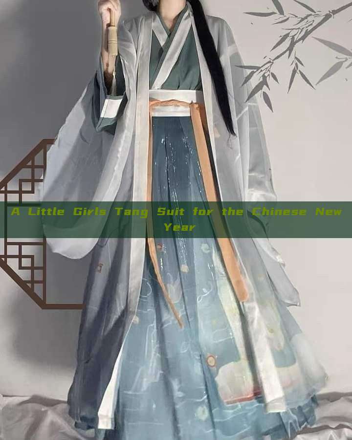 A Little Girls Tang Suit for the Chinese New Year A Little Girls Tang Suit for the Chinese New Year
