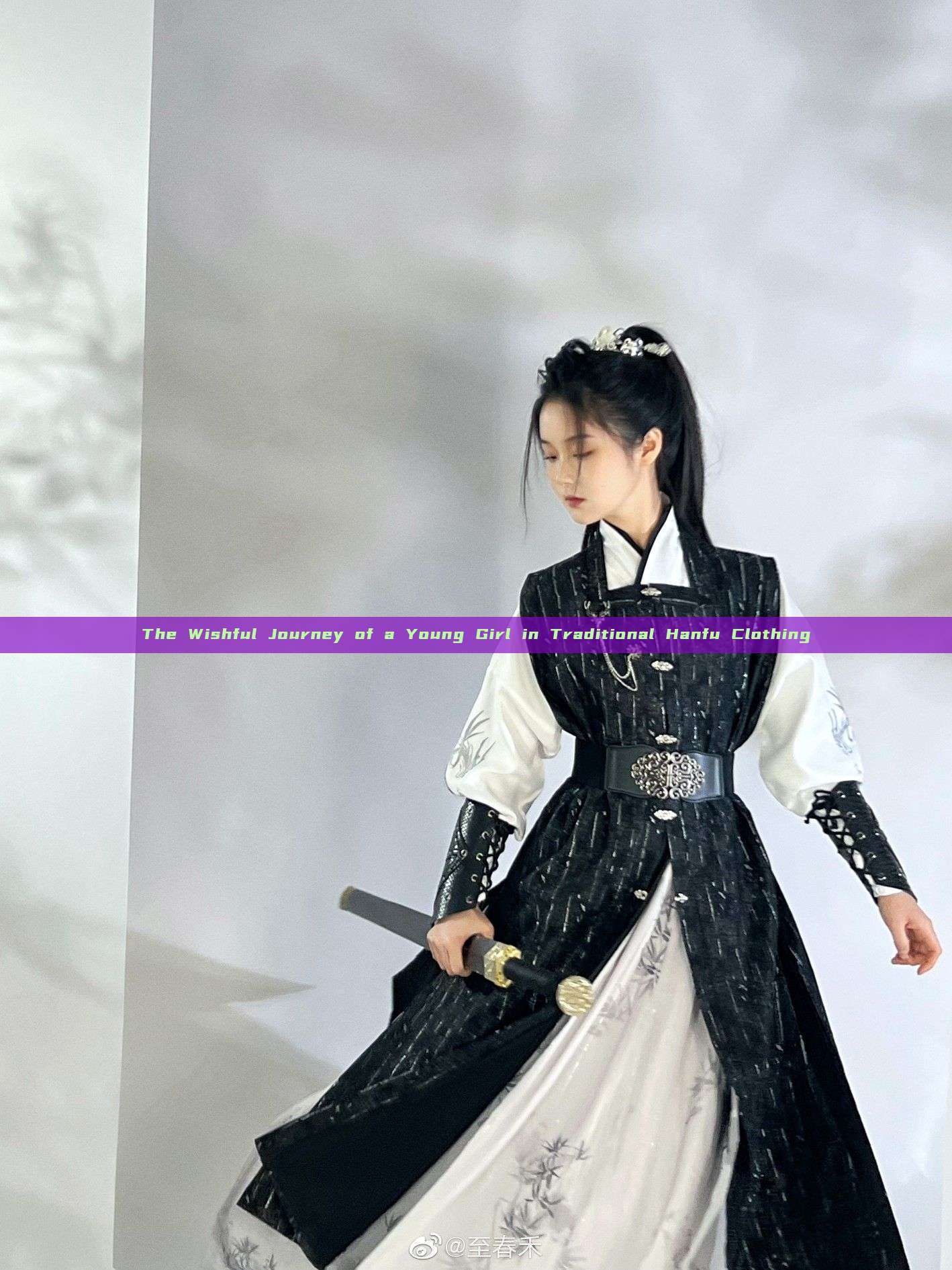 The Wishful Journey of a Young Girl in Traditional Hanfu Clothing The Wishful Journey of a Young Girl in Traditional Hanfu Clothing