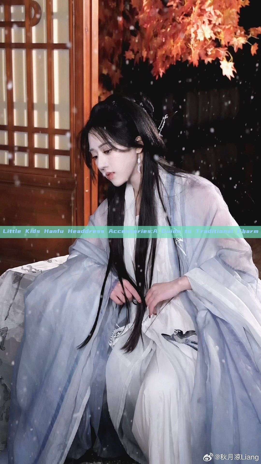 Little Kids Hanfu Headdress Accessories:A Guide to Traditional Charm Little Kids Hanfu Headdress Accessories:A Guide to Traditional Charm