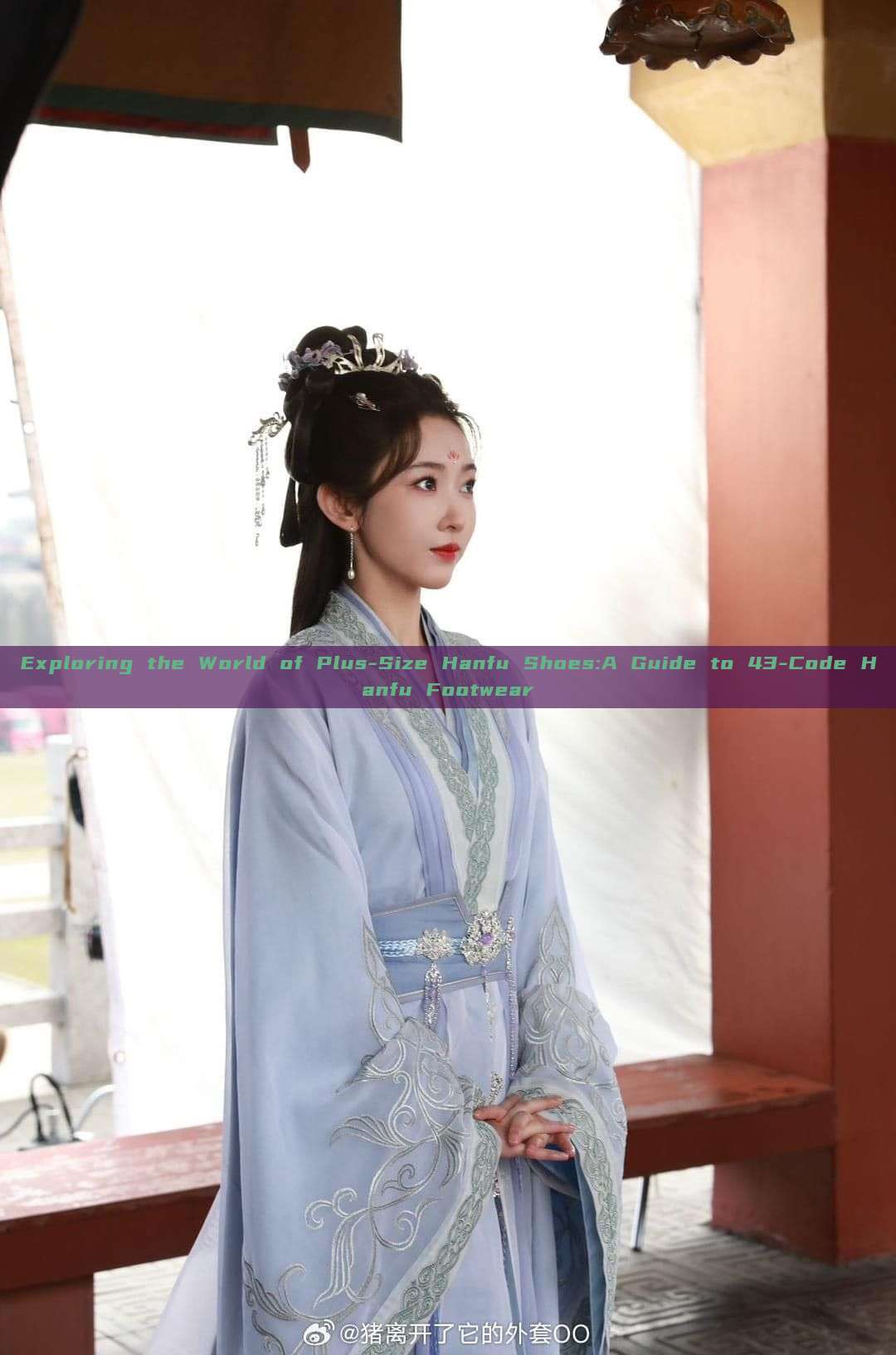 Exploring the World of Plus-Size Hanfu Shoes:A Guide to 43-Code Hanfu Footwear Exploring the World of Plus-Size Hanfu Shoes:A Guide to 43-Code Hanfu Footwear