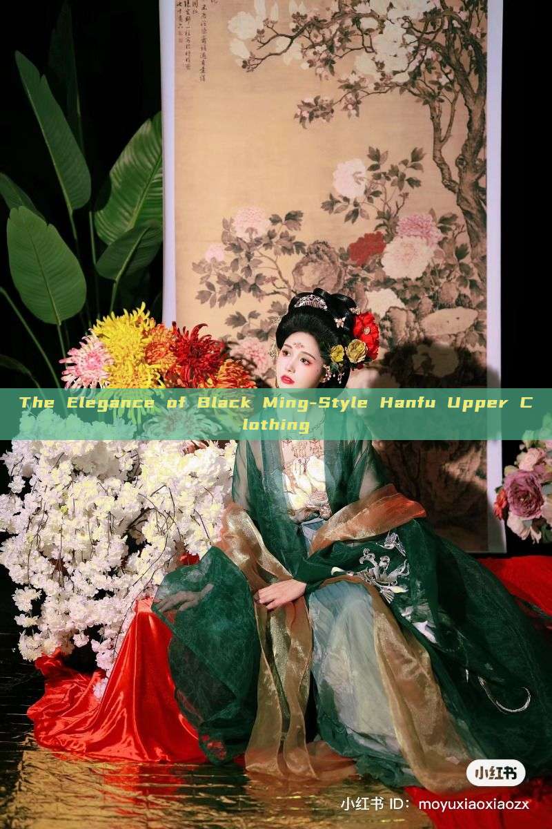 The Elegance of Black Ming-Style Hanfu Upper Clothing The Elegance of Black Ming-Style Hanfu Upper Clothing