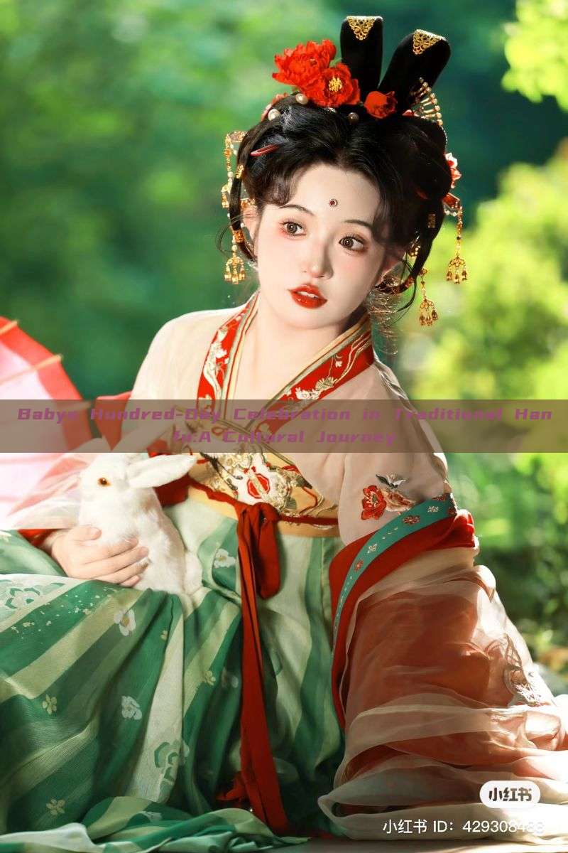 Babys Hundred-Day Celebration in Traditional Hanfu:A Cultural Journey Babys Hundred-Day Celebration in Traditional Hanfu:A Cultural Journey