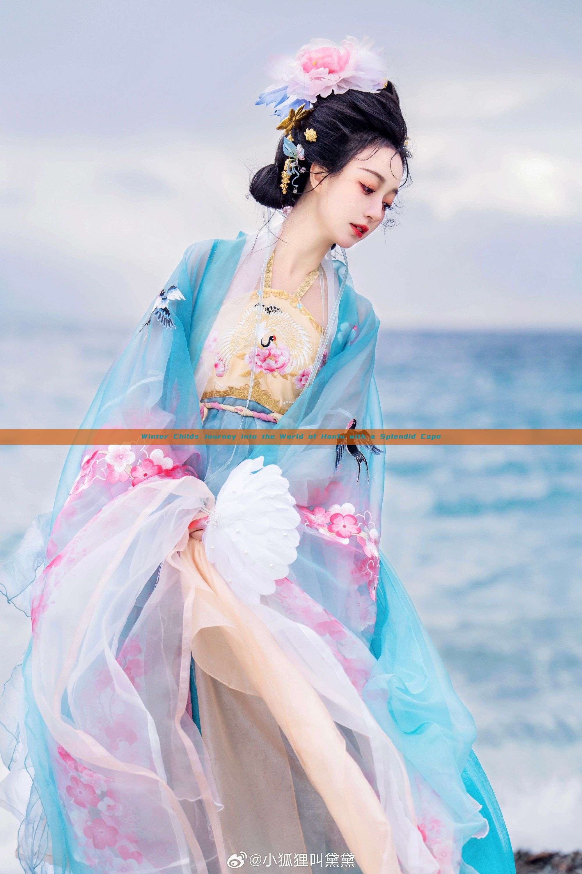 Winter Childs Journey into the World of Hanfu with a Splendid Cape Winter Childs Journey into the World of Hanfu with a Splendid Cape