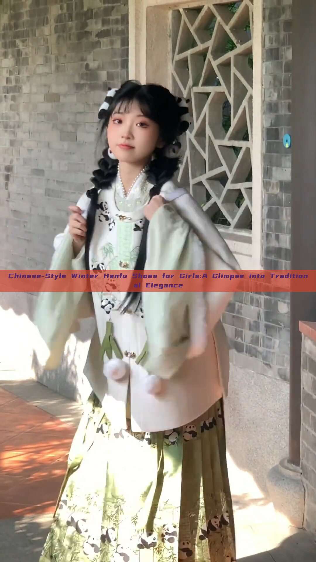 Chinese-Style Winter Hanfu Shoes for Girls:A Glimpse into Traditional Elegance Chinese-Style Winter Hanfu Shoes for Girls:A Glimpse into Traditional Elegance