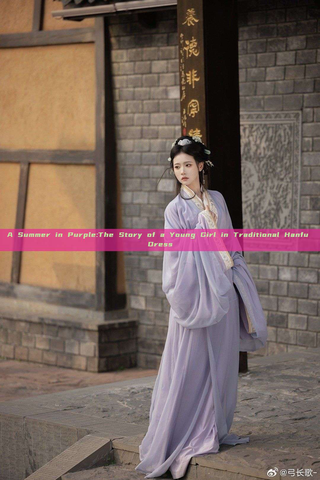 A Summer in Purple:The Story of a Young Girl in Traditional Hanfu Dress A Summer in Purple:The Story of a Young Girl in Traditional Hanfu Dress