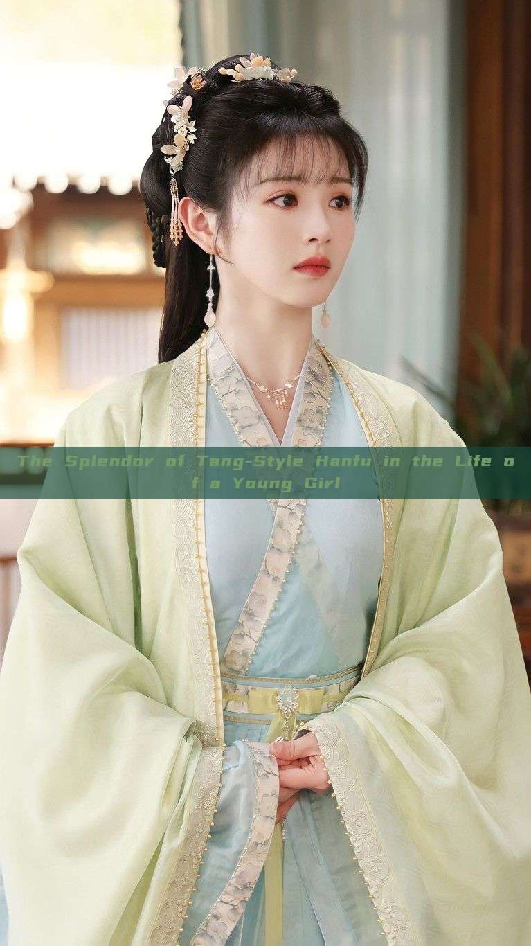 The Splendor of Tang-Style Hanfu in the Life of a Young Girl The Splendor of Tang-Style Hanfu in the Life of a Young Girl