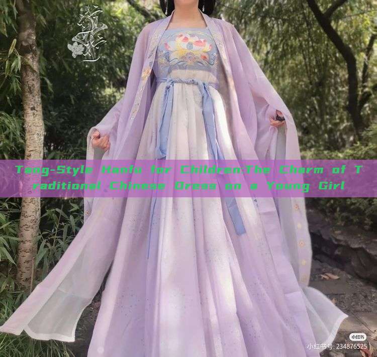 Tang-Style Hanfu for Children:The Charm of Traditional Chinese Dress on a Young Girl Tang-Style Hanfu for Children:The Charm of Traditional Chinese Dress on a Young Girl