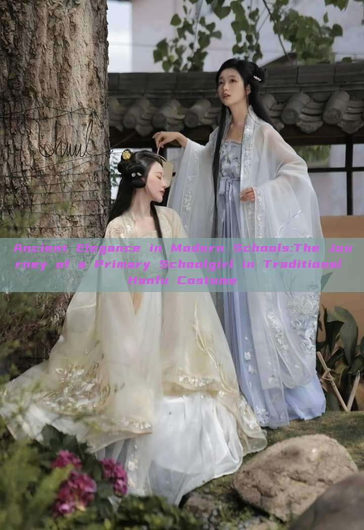 Ancient Elegance in Modern Schools:The Journey of a Primary Schoolgirl in Traditional Hanfu Costume