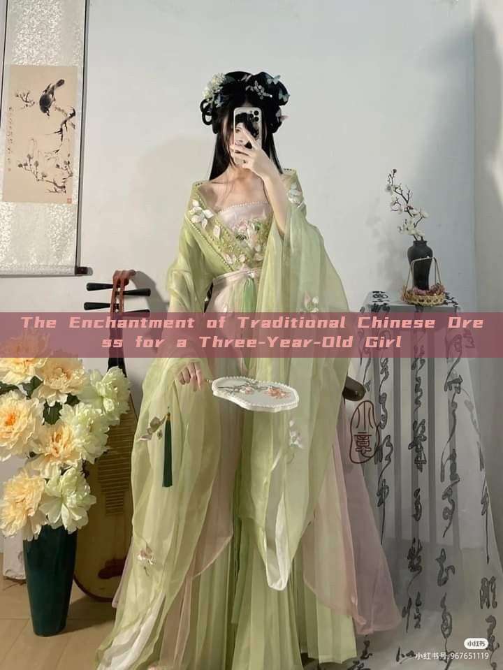 The Enchantment of Traditional Chinese Dress for a Three-Year-Old Girl The Enchantment of Traditional Chinese Dress for a Three-Year-Old Girl