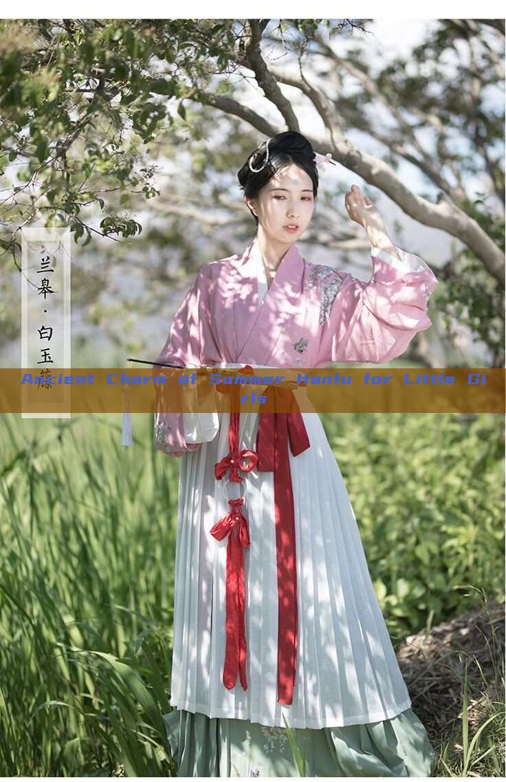 Ancient Charm of Summer Hanfu for Little Girls Ancient Charm of Summer Hanfu for Little Girls