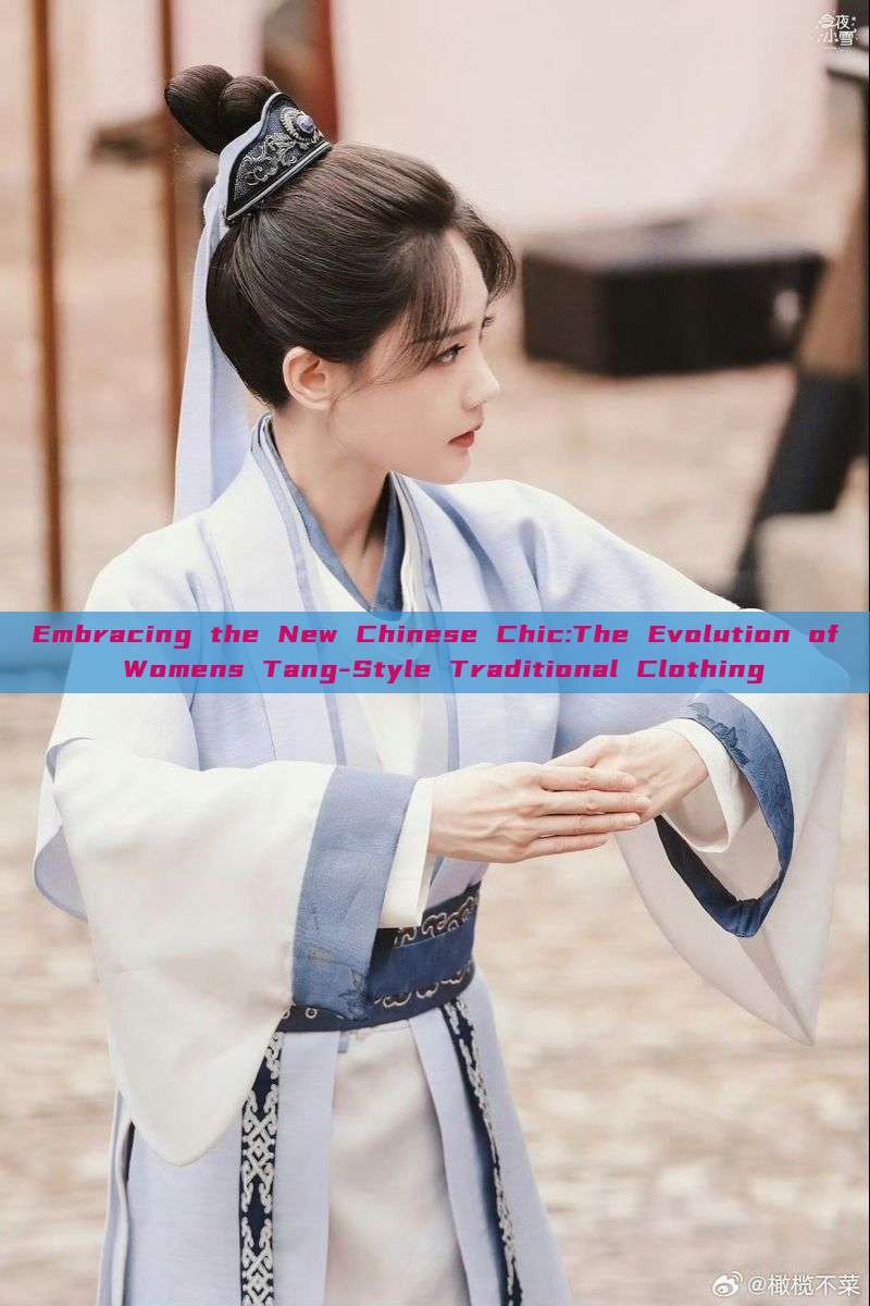 Embracing the New Chinese Chic:The Evolution of Womens Tang-Style Traditional Clothing Embracing the New Chinese Chic:The Evolution of Womens Tang-Style Traditional Clothing