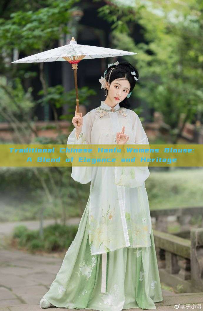 Traditional Chinese Hanfu Womens Blouse:A Blend of Elegance and Heritage Traditional Chinese Hanfu Womens Blouse:A Blend of Elegance and Heritage
