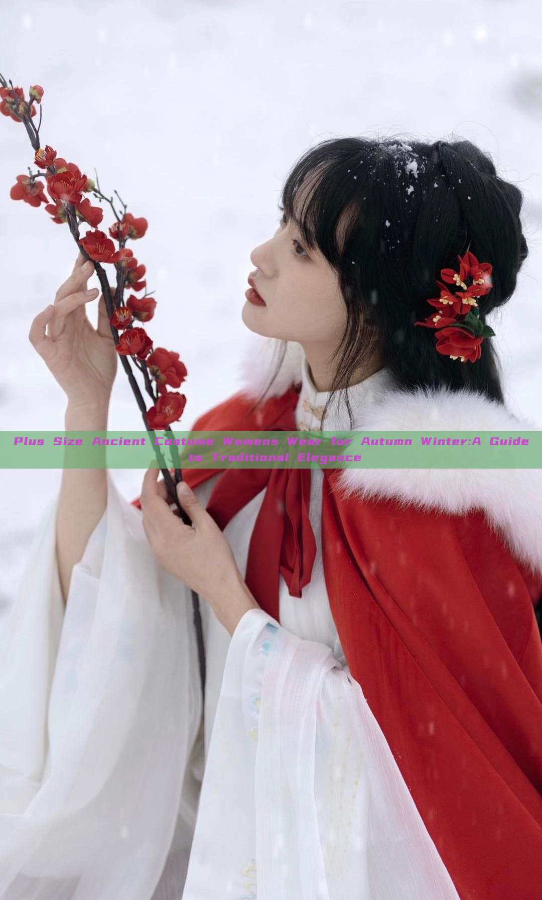 Plus Size Ancient Costume Womens Wear for Autumn Winter:A Guide to Traditional Elegance Plus Size Ancient Costume Womens Wear for Autumn Winter:A Guide to Traditional Elegance