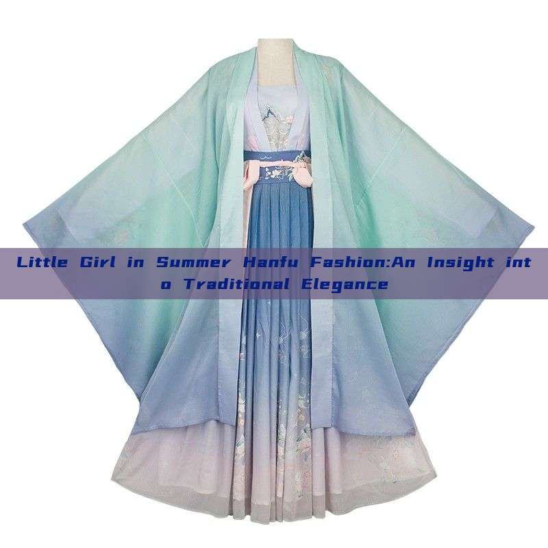 Little Girl in Summer Hanfu Fashion:An Insight into Traditional Elegance Little Girl in Summer Hanfu Fashion:An Insight into Traditional Elegance