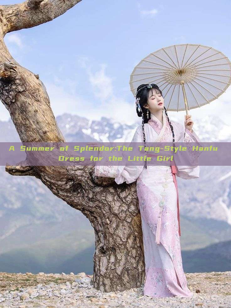 A Summer of Splendor:The Tang-Style Hanfu Dress for the Little Girl A Summer of Splendor:The Tang-Style Hanfu Dress for the Little Girl