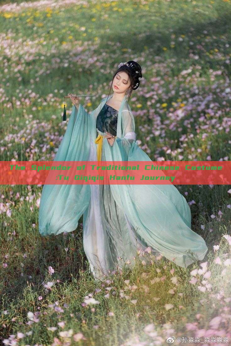 The Splendor of Traditional Chinese Costume:Tu Qiqiqis Hanfu Journey The Splendor of Traditional Chinese Costume:Tu Qiqiqis Hanfu Journey