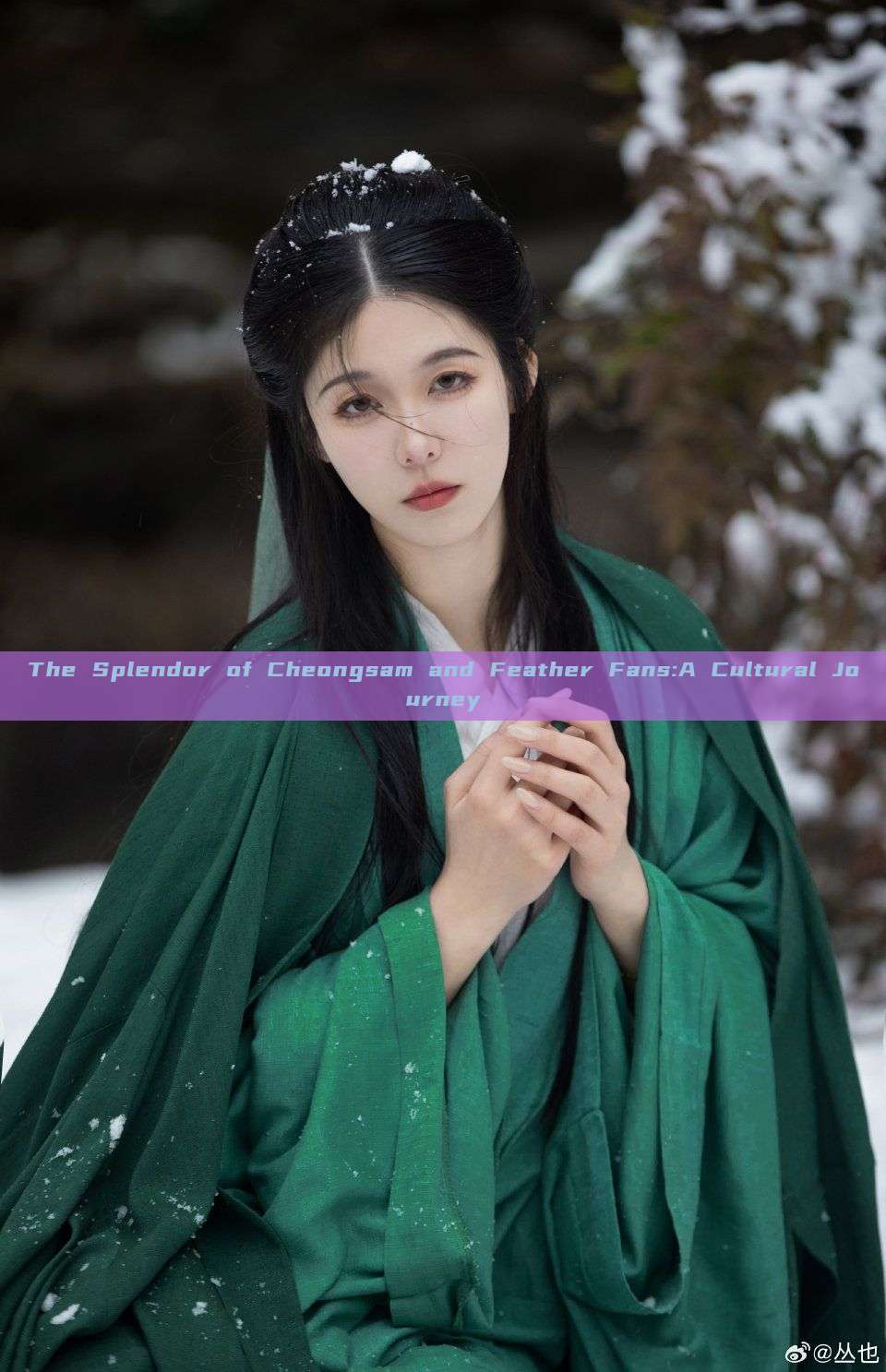 The Splendor of Cheongsam and Feather Fans:A Cultural Journey The Splendor of Cheongsam and Feather Fans:A Cultural Journey