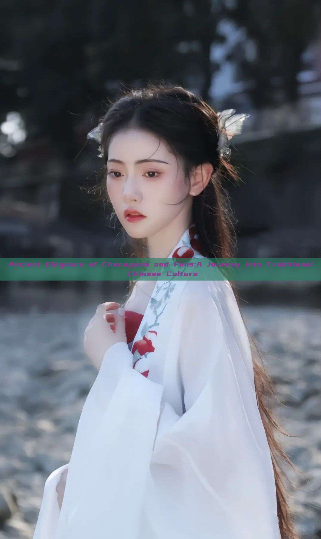 Ancient Elegance of Cheongsam and Fans:A Journey into Traditional Chinese Culture Ancient Elegance of Cheongsam and Fans:A Journey into Traditional Chinese Culture