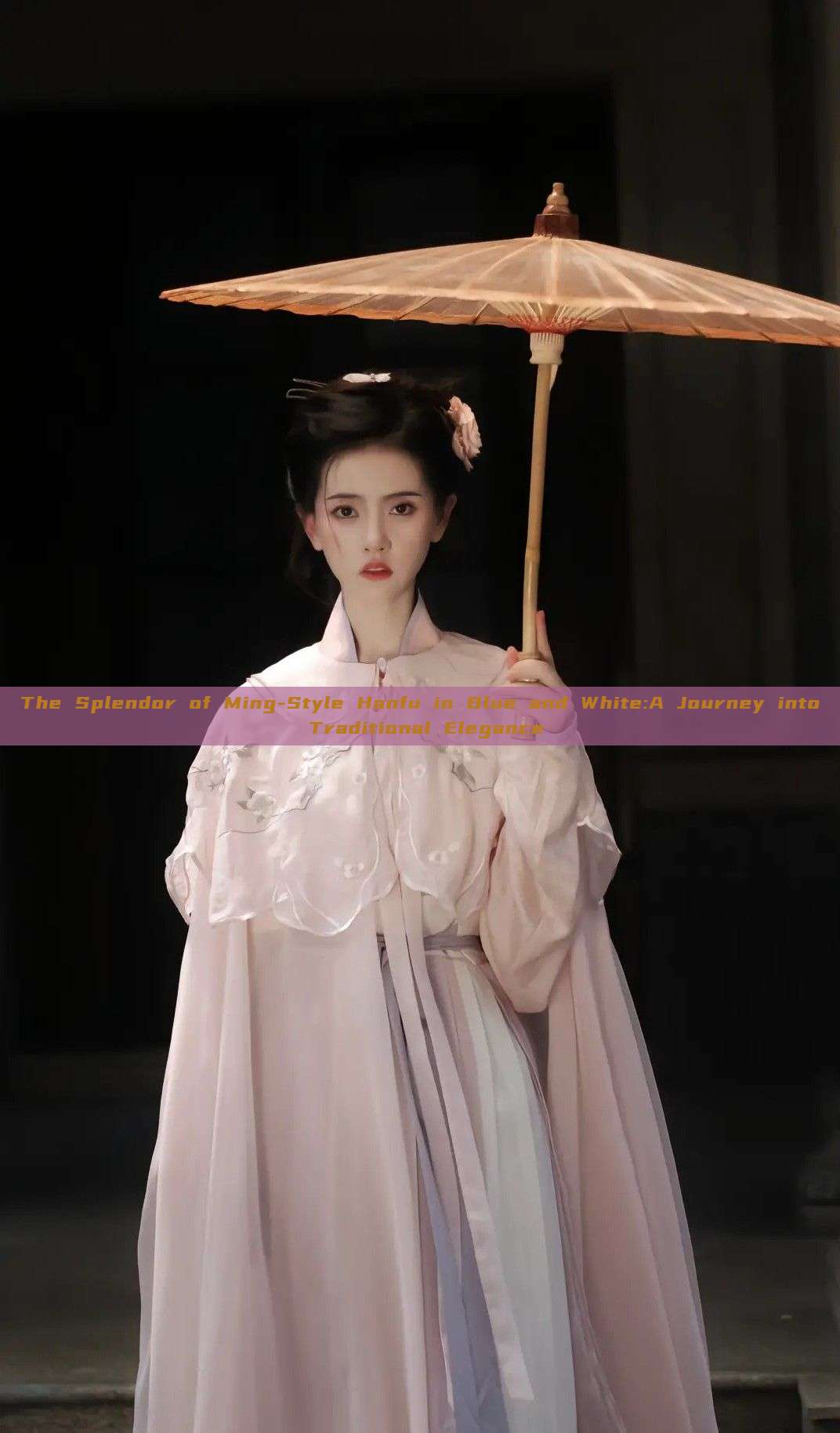 The Splendor of Ming-Style Hanfu in Blue and White:A Journey into Traditional Elegance The Splendor of Ming-Style Hanfu in Blue and White:A Journey into Traditional Elegance