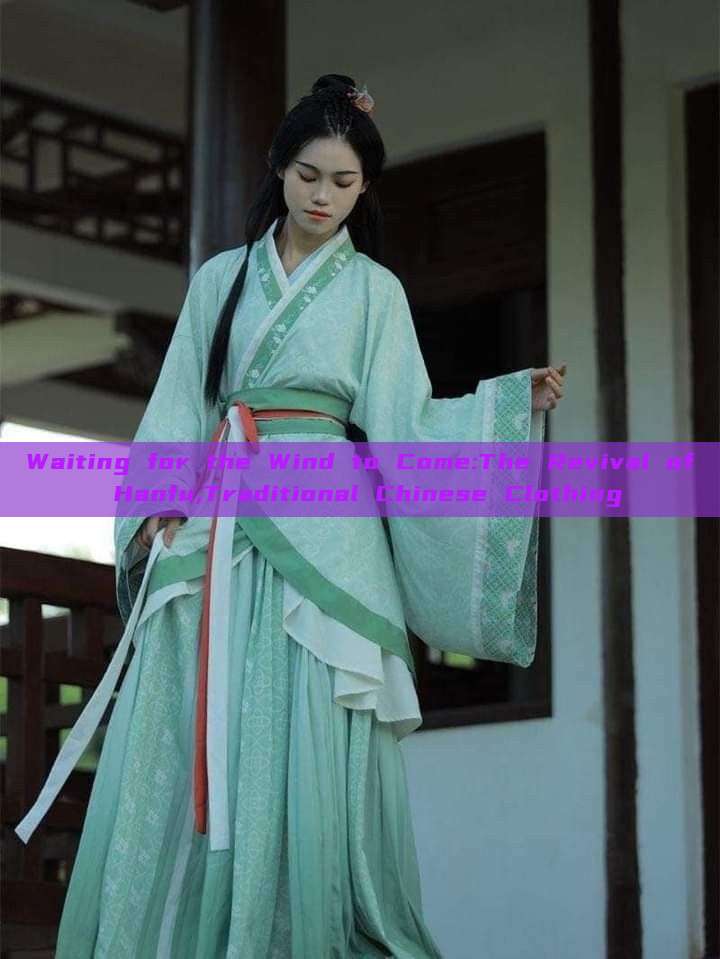 Waiting for the Wind to Come:The Revival of Hanfu,Traditional Chinese Clothing Waiting for the Wind to Come:The Revival of Hanfu,Traditional Chinese Clothing