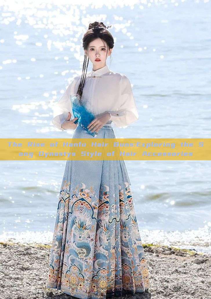 The Rise of Hanfu Hair Buns:Exploring the Song Dynastys Style of Hair Accessories The Rise of Hanfu Hair Buns:Exploring the Song Dynastys Style of Hair Accessories