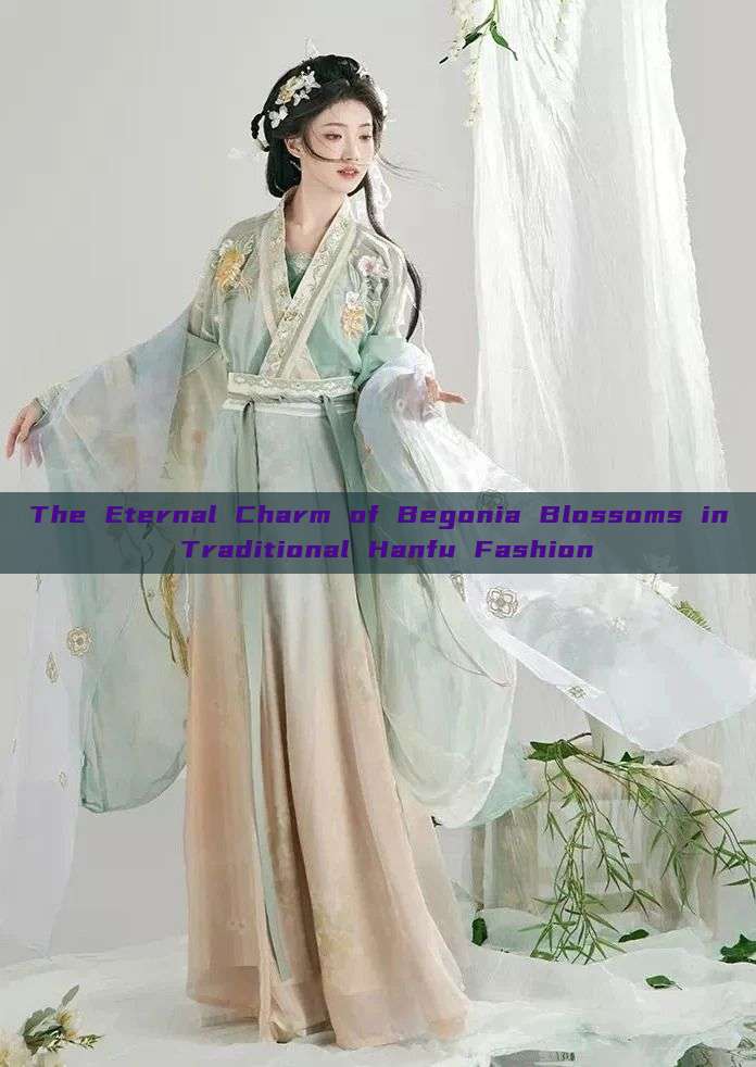 The Eternal Charm of Begonia Blossoms in Traditional Hanfu Fashion The Eternal Charm of Begonia Blossoms in Traditional Hanfu Fashion