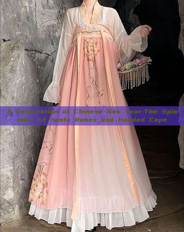 A Celebration of Chinese New Year:The Splendor of Hanfu Robes and Hooded Cape A Celebration of Chinese New Year:The Splendor of Hanfu Robes and Hooded Cape