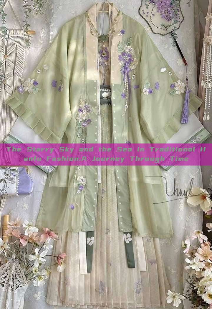 The Starry Sky and the Sea in Traditional Hanfu Fashion:A Journey Through Time The Starry Sky and the Sea in Traditional Hanfu Fashion:A Journey Through Time