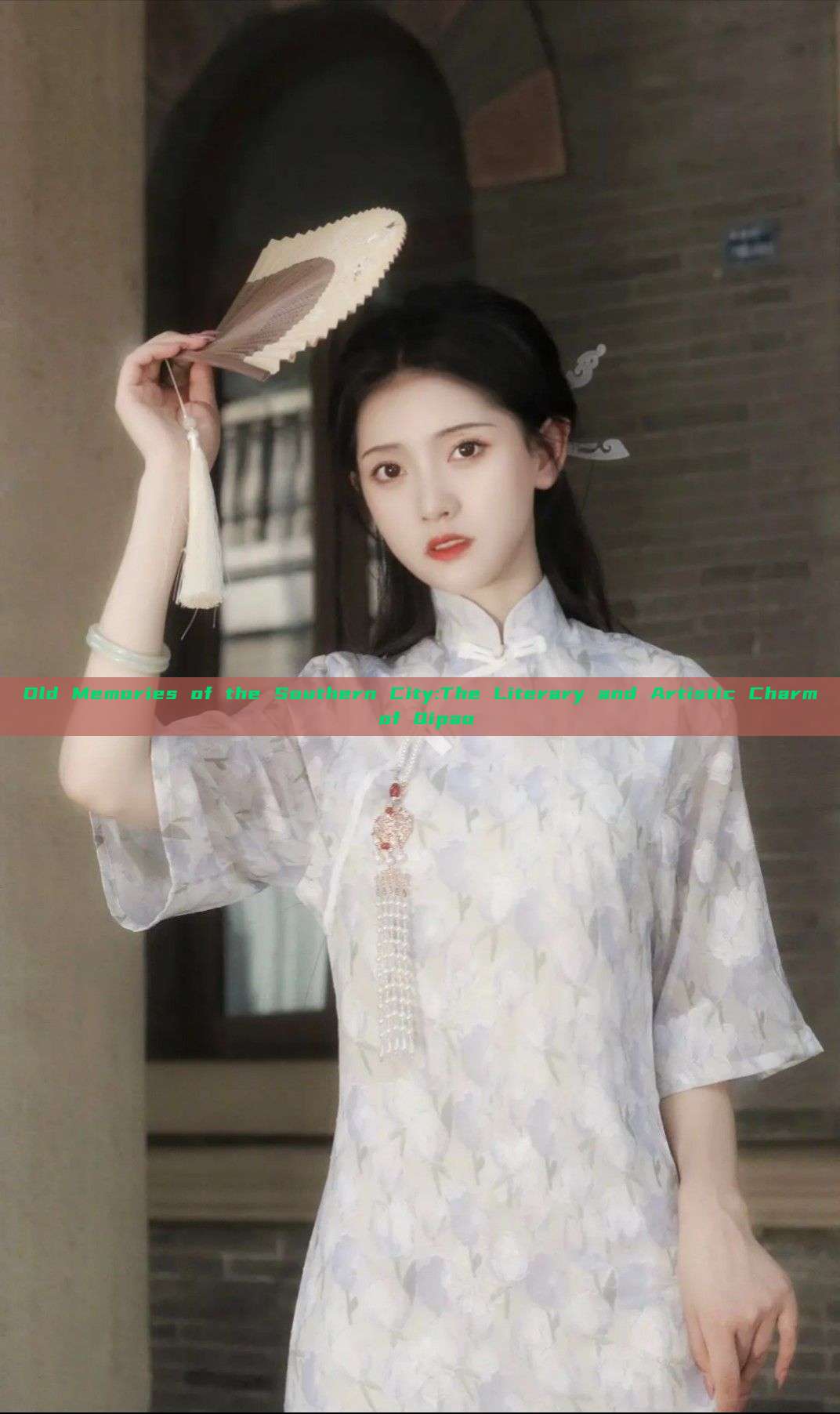 Old Memories of the Southern City:The Literary and Artistic Charm of Qipao Old Memories of the Southern City:The Literary and Artistic Charm of Qipao