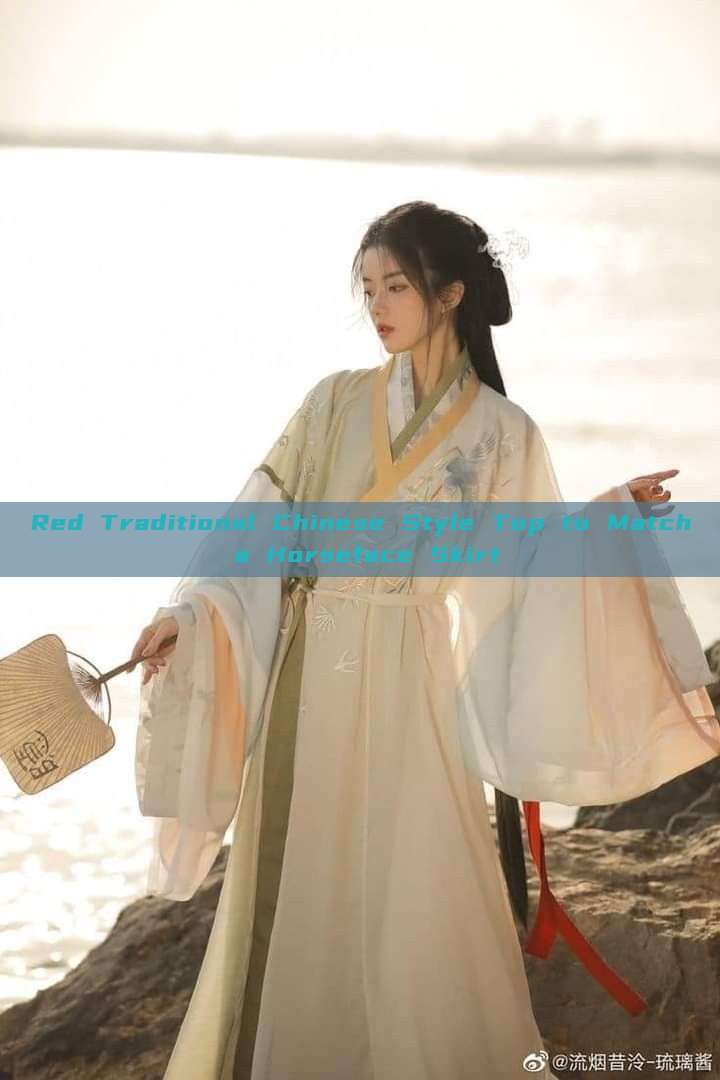 Red Traditional Chinese Style Top to Match a Horseface Skirt Red Traditional Chinese Style Top to Match a Horseface Skirt