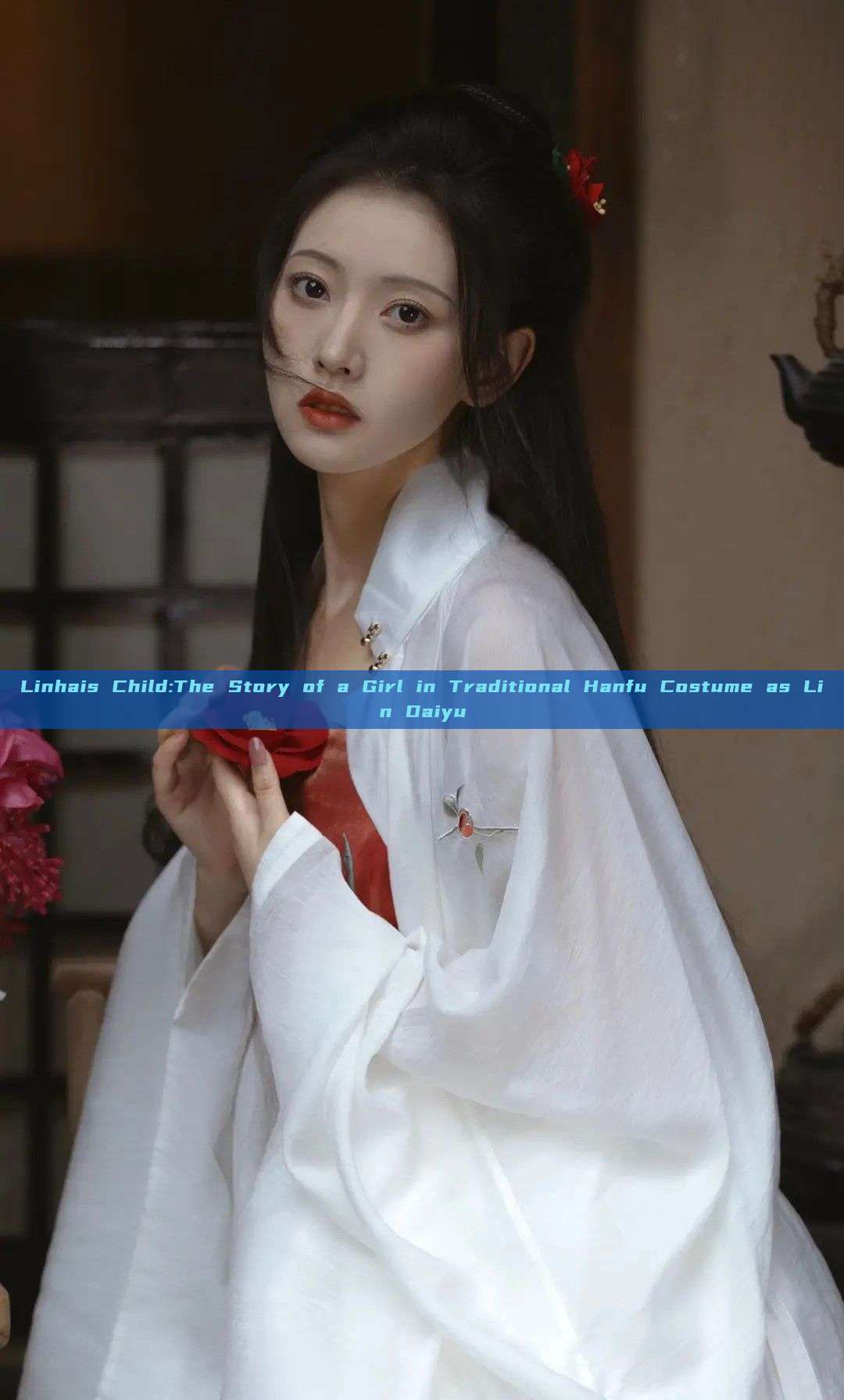 Linhais Child:The Story of a Girl in Traditional Hanfu Costume as Lin Daiyu Linhais Child:The Story of a Girl in Traditional Hanfu Costume as Lin Daiyu