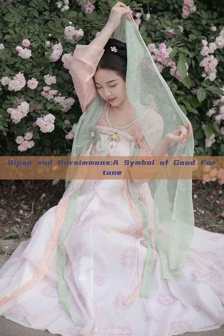 Qipao and Persimmons:A Symbol of Good Fortune Qipao and Persimmons:A Symbol of Good Fortune