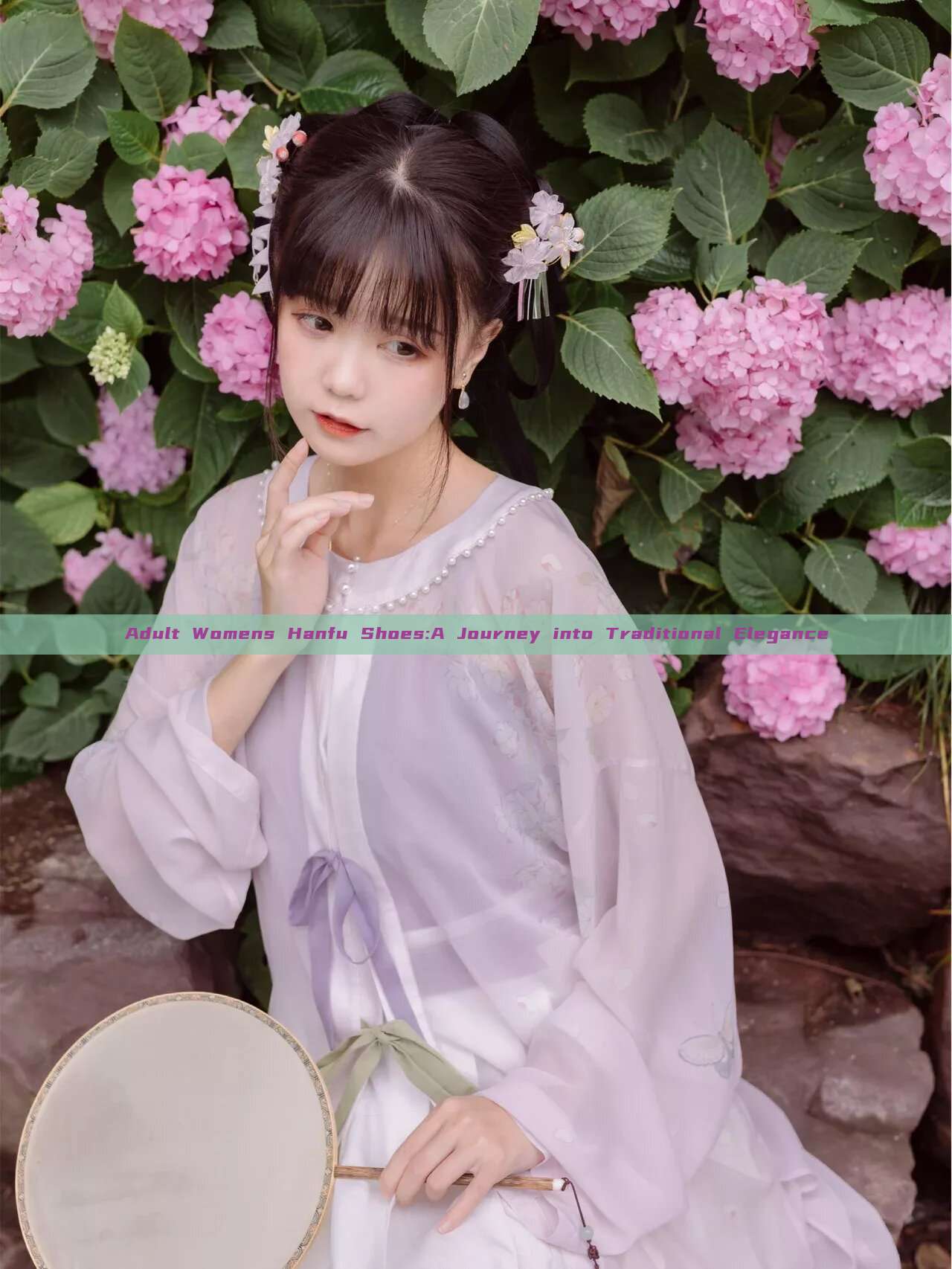 Adult Womens Hanfu Shoes:A Journey into Traditional Elegance Adult Womens Hanfu Shoes:A Journey into Traditional Elegance