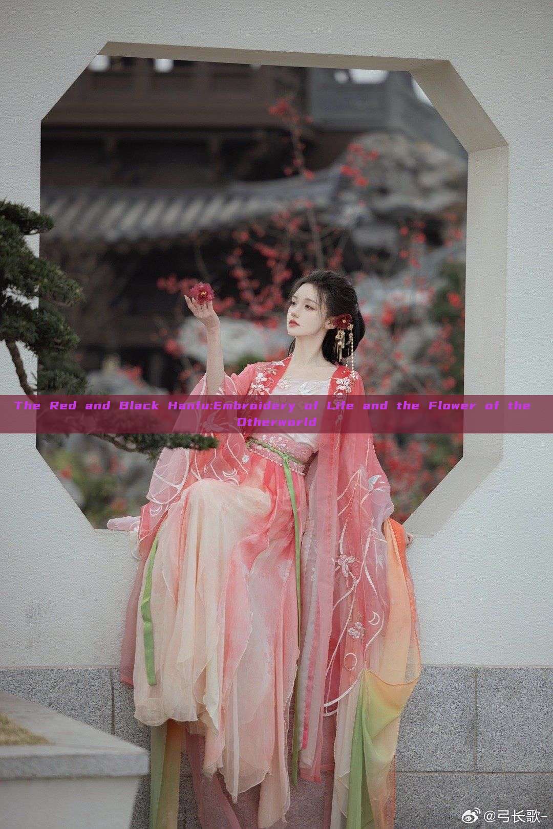 The Red and Black Hanfu:Embroidery of Life and the Flower of the Otherworld The Red and Black Hanfu:Embroidery of Life and the Flower of the Otherworld