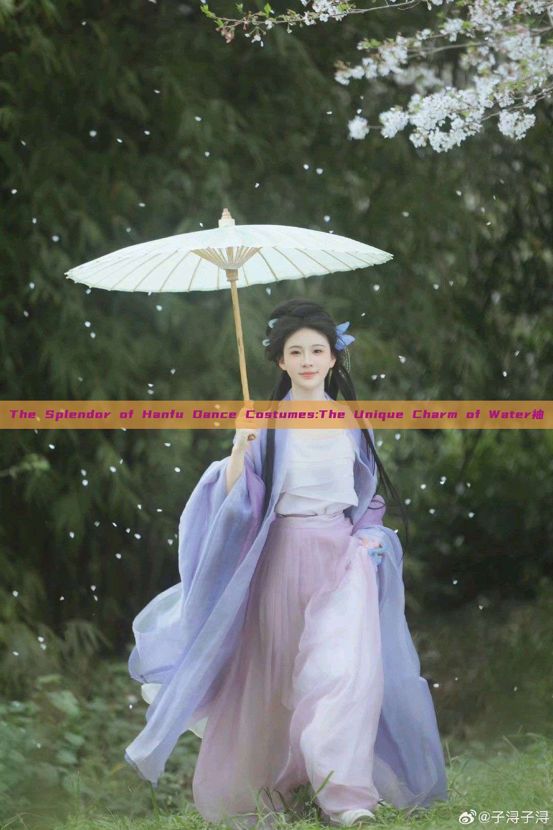 The Splendor of Hanfu Dance Costumes:The Unique Charm of Water袖 The Splendor of Hanfu Dance Costumes:The Unique Charm of Water袖