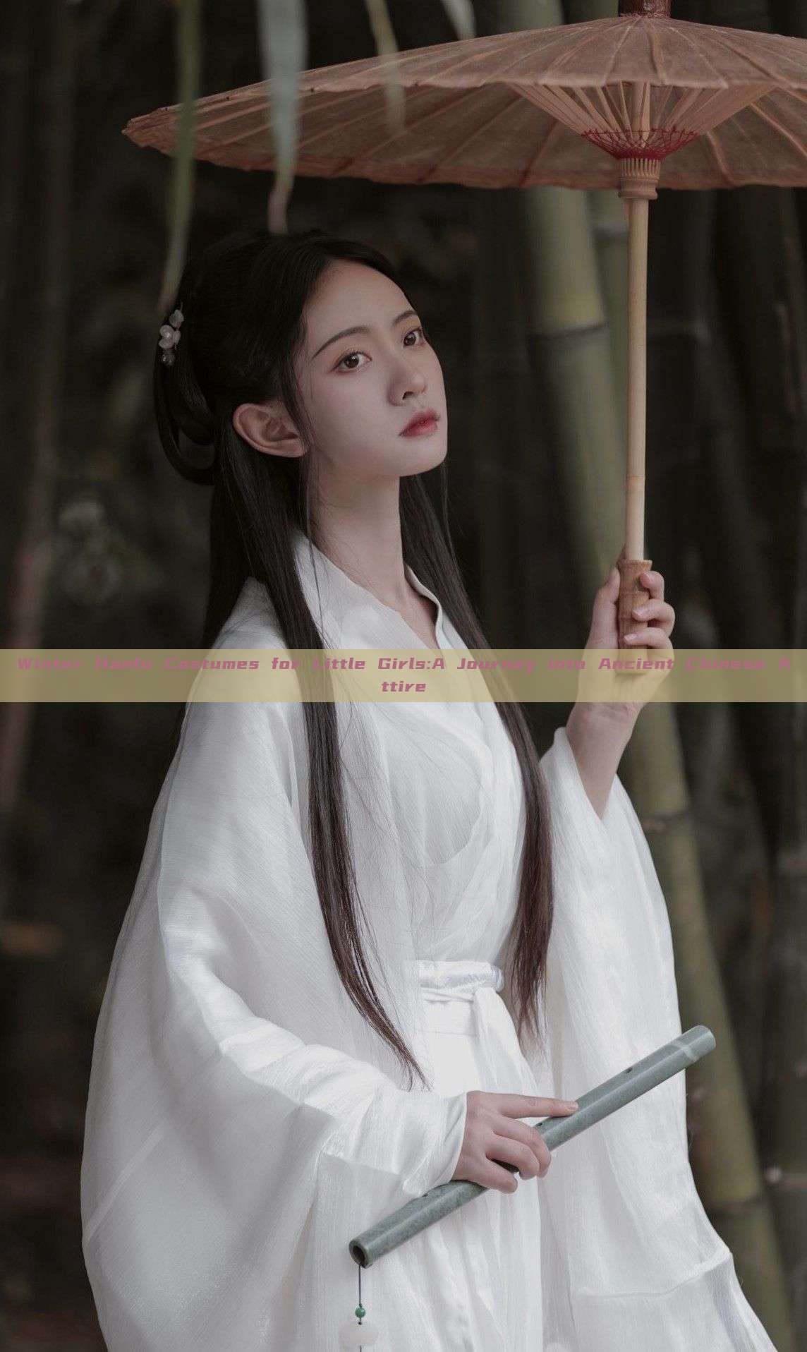 Winter Hanfu Costumes for Little Girls:A Journey into Ancient Chinese Attire Winter Hanfu Costumes for Little Girls:A Journey into Ancient Chinese Attire