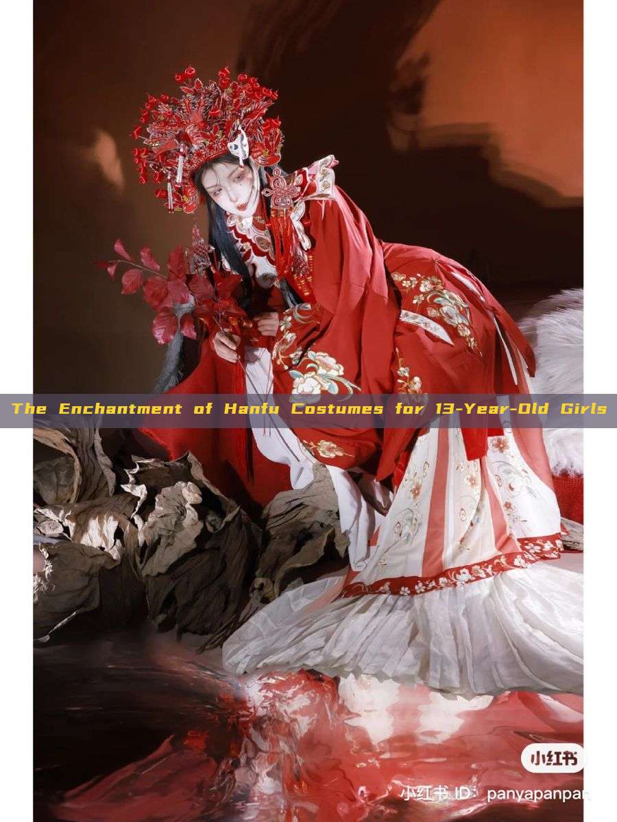 The Enchantment of Hanfu Costumes for 13-Year-Old Girls The Enchantment of Hanfu Costumes for 13-Year-Old Girls