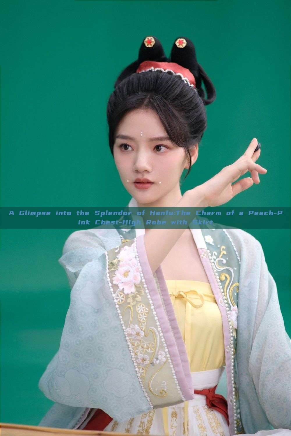 A Glimpse into the Splendor of Hanfu:The Charm of a Peach-Pink Chest-High Robe with Skirt A Glimpse into the Splendor of Hanfu:The Charm of a Peach-Pink Chest-High Robe with Skirt