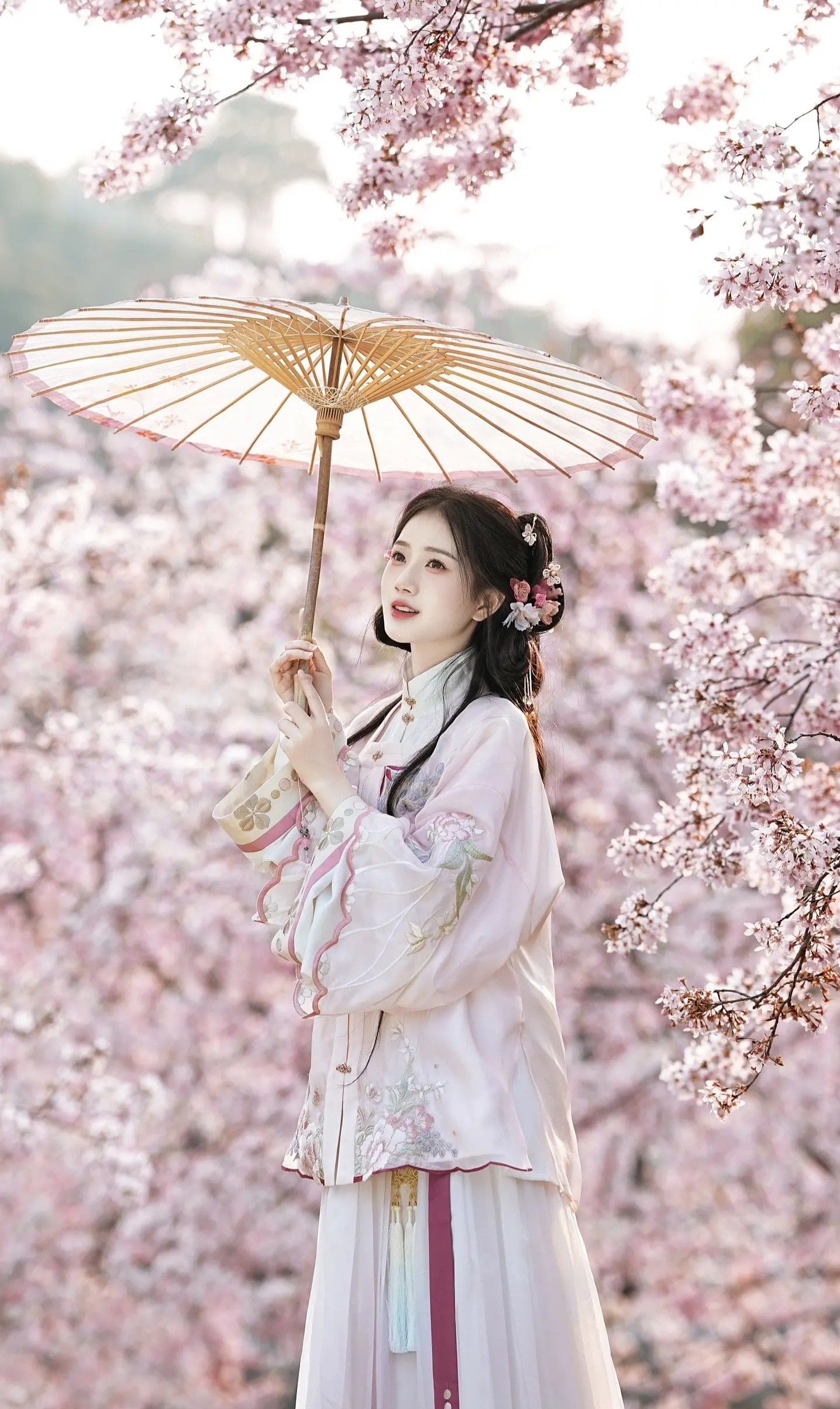 Chinese Cheongsam as a Toast-Wearing Ceremonial Attire:A Cultural Exploration Chinese Cheongsam as a Toast-Wearing Ceremonial Attire:A Cultural Exploration