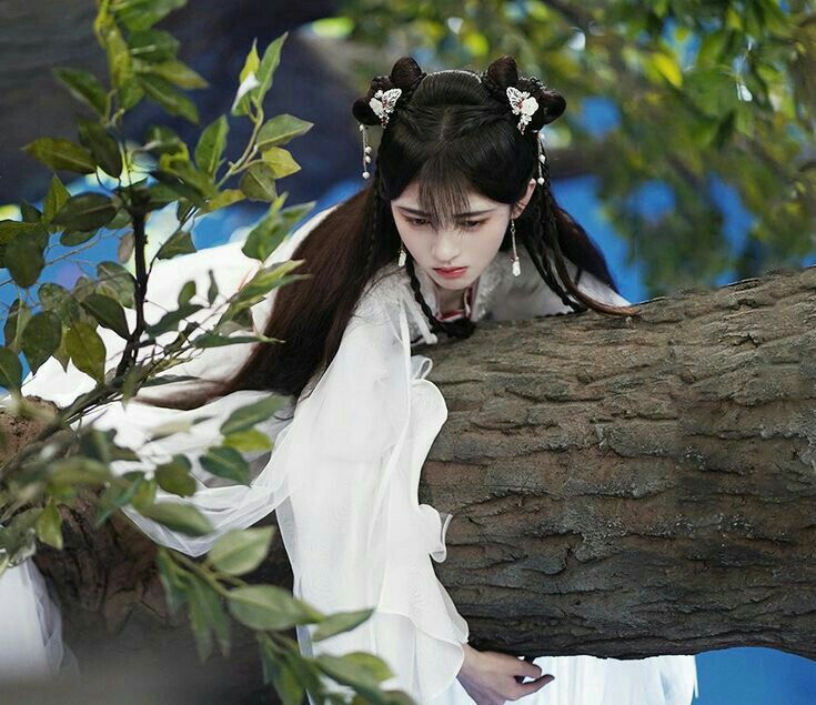 The Splendid Splendor of Ming-Style Hanfu with Square-Cut Collars and Patchwork The Splendid Splendor of Ming-Style Hanfu with Square-Cut Collars and Patchwork